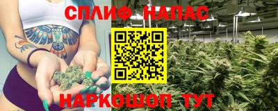 прущие грибы Конаково