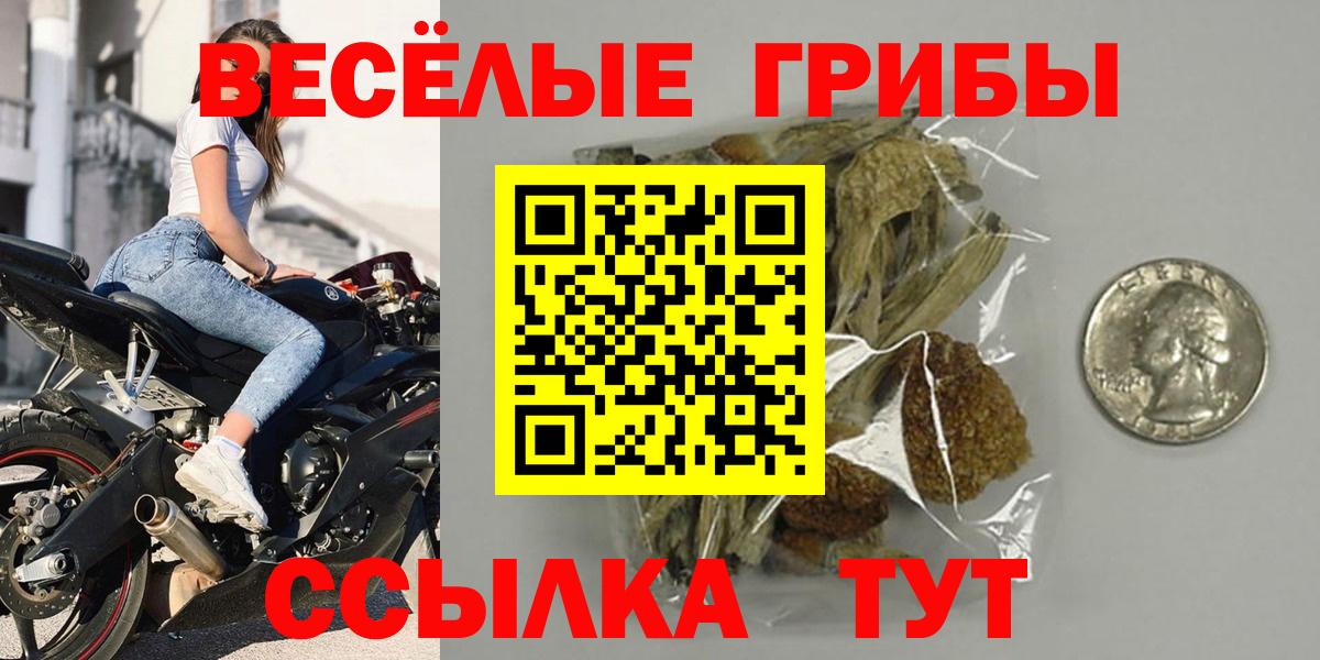 Звенигород  Галлюциногенные грибы GOLDEN TEACHER  Галлюциногенные грибы MAGIC MUSHROOMS  Вход с VPN 