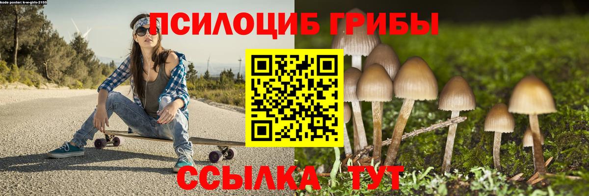 Галлюциногенные грибы Magic Shrooms Звенигород